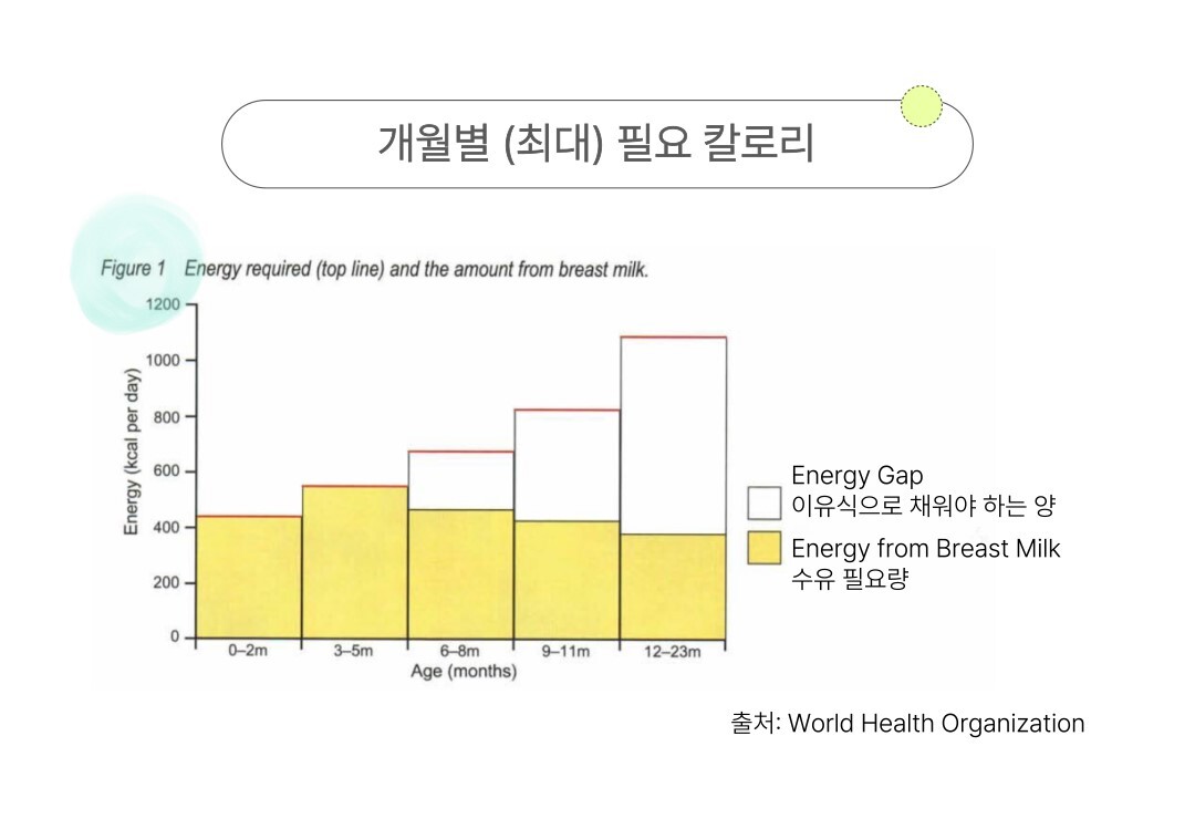 개월별 (최대) 필요 칼로리