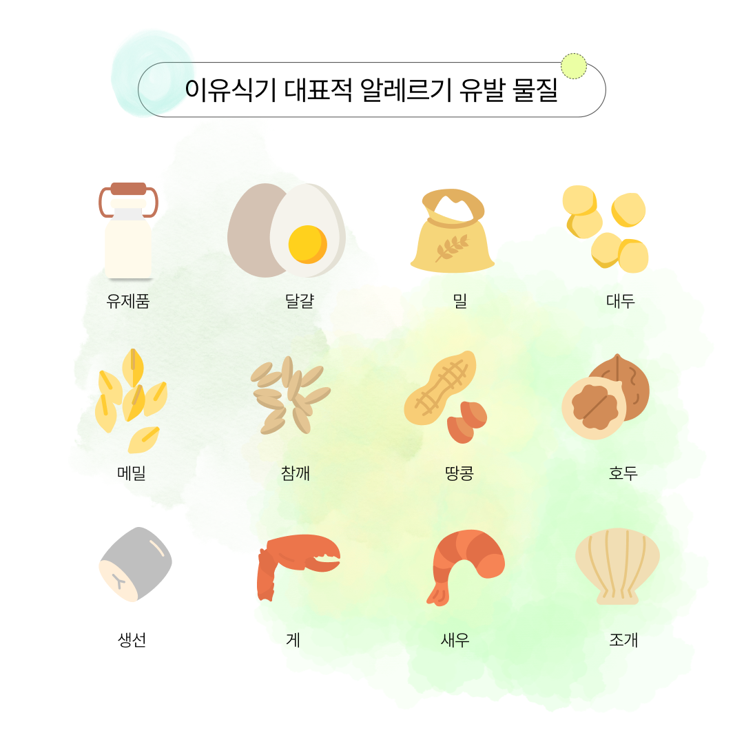 이유식기 대표적 알레르기 유발 물질
